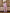 Adriana Dusty Pink Single-Breasted Two-Piece Crepe Suit