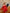 Camilla Red Backless Puff Sleeve Mini Dress