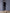 Beatrice Black Long Sleeve Feather-Trim Bodycon Midi Dress