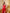 Adriana Red Strapless V-Neck Culotte Jumpsuit