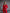 Adriana Red Single-Breasted Two-Piece Suit