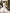 Aurora Beige Cut-Out Neck Long Sleeve Midi Dress