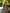 Adriana Brown Wool Belted Two-Piece Coat