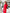 Aurora Crimson Crepe One-Shoulder Cut-Out Midi Dress