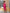 Adriana Crimson Square Neck Backless Midi Dress