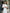 Beatrice White Backless Puff Sleeve Midi Dress