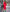 Camilla Red Square Neck Puff Sleeve Midi Dress