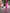 Adriana Fuchsia Double-Breasted Two-Piece Suit