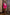 Adriana Crimson Cropped Jacket Asymmetric Skirt Two-Piece Suit