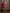 Adriana Crimson Cropped Jacket Asymmetric Skirt Two-Piece Suit