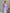 Beatrice Lavender Crepe Puff-Sleeve Midi Dress