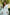 White V-Neck Puff-Sleeve Midi Dress