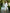Camilla White Square Neck Puff Sleeve Midi Dress