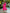 Adriana Crimson V-Neck Puff Sleeve Midi Dress