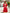 Aurora Bordeaux Sweetheart Puff-Sleeve Mini Dress