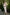 Beatrice Dusty Pink One-Shoulder Satin Midi Dress