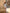 Aurora Sky-Blue Backless Long Sleeve Midi Dress