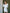 Adriana White Satin Puff-Sleeve Mini Dress