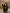 Adriana Black Regular-Fit Three-Piece Suit