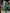 Fiamma Emerald Halter Neck Satin Midi Dress