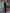 Adriana Black V-Neck Long-Sleeve Midi Dress