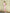 Aurora Dusty Pink Satin One-Shoulder Midi Dress