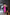 Aurora Fuchsia Sweetheart Corseted Satin Midi Dress