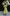 Eleonora Yellow Linen Puff-Sleeve Wrap Midi Dress