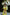Eleonora Yellow Linen Puff-Sleeve Wrap Midi Dress