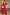 Adriana Red Belted Wide-Leg Suit Two-Piece