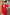 Adriana Red Belted Wide-Leg Suit Two-Piece