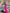 Eleonora Fuchsia Satin Long-Sleeve Maxi Dress