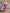 Eleonora Fuchsia Satin Long-Sleeve Maxi Dress