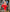 Beatrice Red Puffed Sleeve Mini Prom Dress
