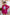 Adriana Crimson Casual Short Suit Two-Piece
