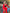 Ginevra Red Slit Sleeve Two-Piece Crepe Suit