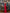 Aurora Red Off-the-Shoulder Satin-Insert Draped Maxi Dress