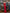 Aurora Red Off-the-Shoulder Satin-Insert Draped Maxi Dress