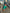 Aurora Green Puff-Sleeve Russian Satin Midi Dress
