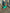 Aurora Green Puff-Sleeve Russian Satin Midi Dress