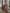 Aurora Purple Russian-Satin Puff Sleeve Midi Dress