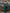 Aurora Green Off-the-Shoulder Satin-Insert Draped Maxi Dress