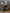 Aurora Green Off-the-Shoulder Satin-Insert Draped Maxi Dress