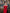 Aurora Red Off-the-Shoulder Satin-Insert Draped Maxi Dress