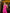 Adriana Crimson Halter Bow Backless Wide-Leg Jumpsuit