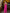 Adriana Crimson Halter Bow Backless Wide-Leg Jumpsuit