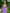 Adriana Purple Strapless V-Neck Culotte Jumpsuit