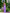 Adriana Purple Strapless V-Neck Culotte Jumpsuit