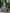 Adriana Purple Strapless V-Neck Culotte Jumpsuit