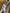 Chiara White Satin One-Shoulder Cut-Out Maxi Dress